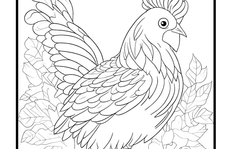 Gallina Para Colorear Dibuhit