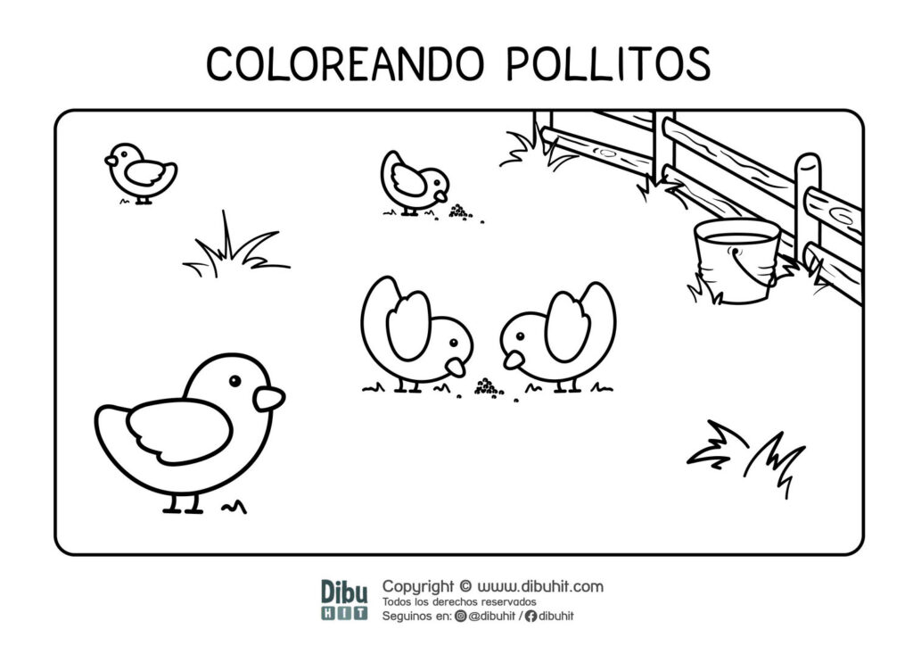 dibujo de pollitos para colorear en el corral