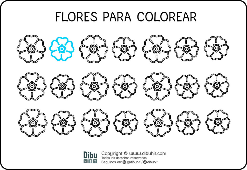 flores para colorear