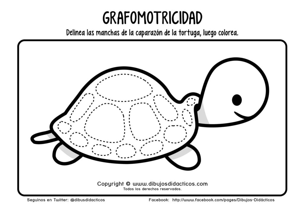 Grafomotricidad tortuga puntos manchas