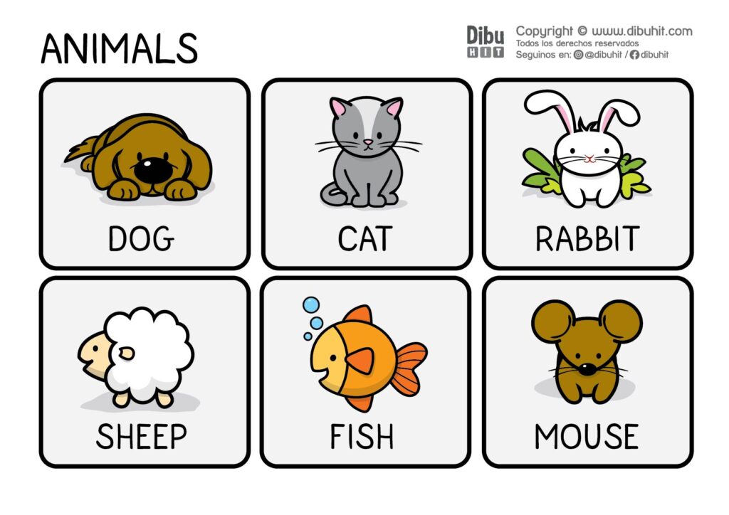 animals dog cat rabbit sheep fish mouse