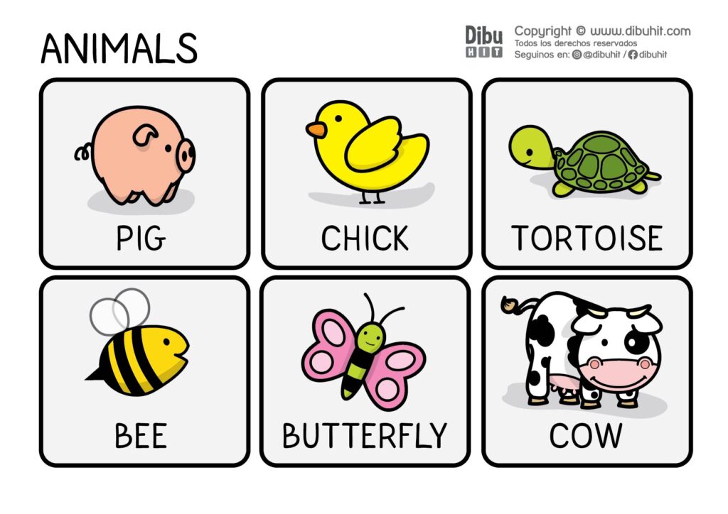 animals pig chick tortoise bee butterfly cow