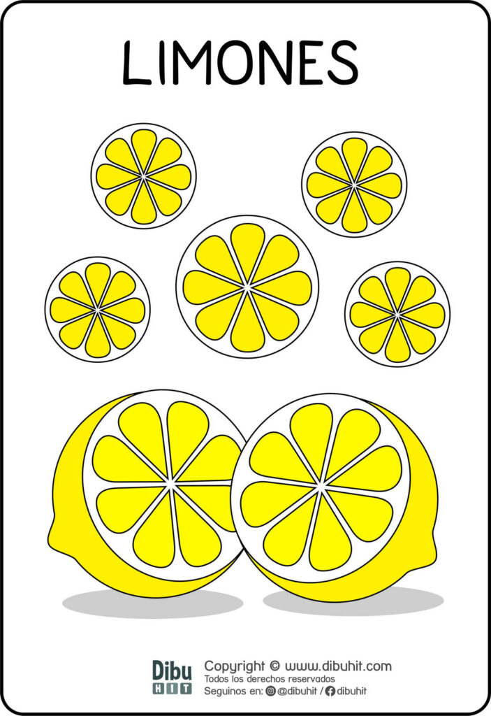 Lamina didactica limones