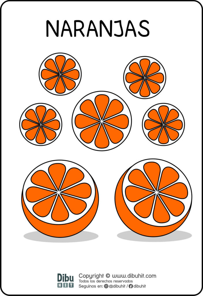 Lamina didactica naranjas