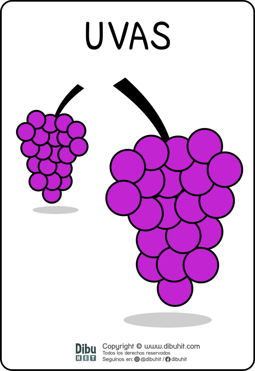 Lamina didactica furtas uvas violetas