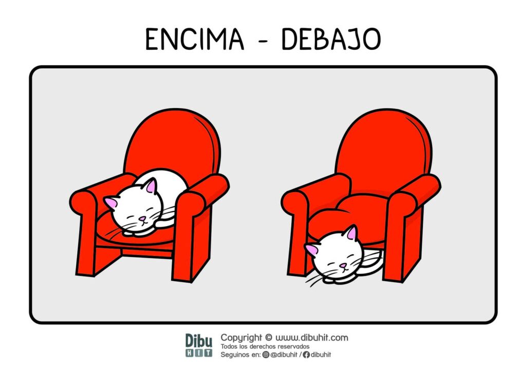 lamina didactica gato sobre sillon gato bajo sillon