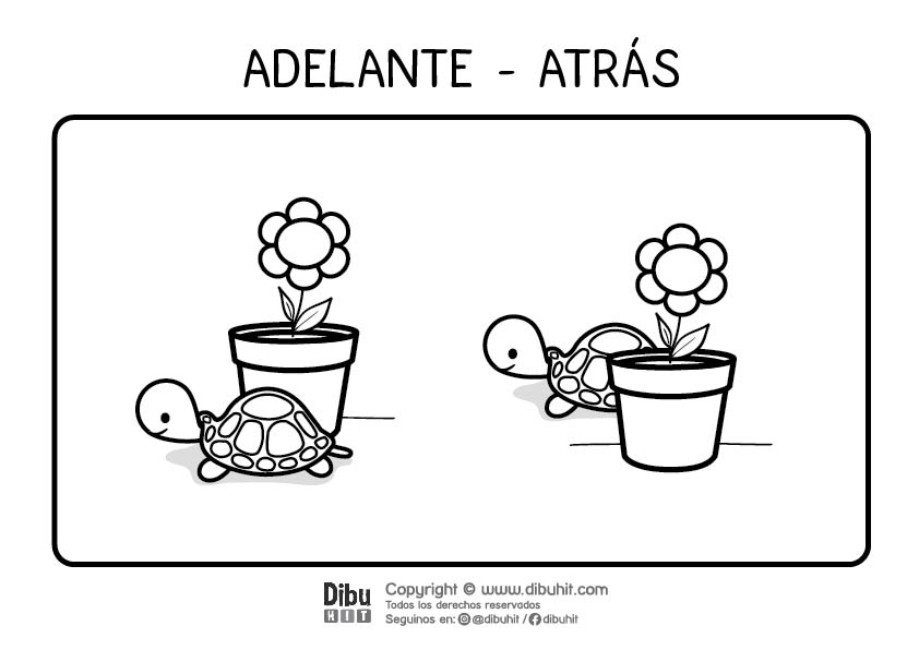 Dibujo de opuestos para colorear adelante atras con tortugas y macetas