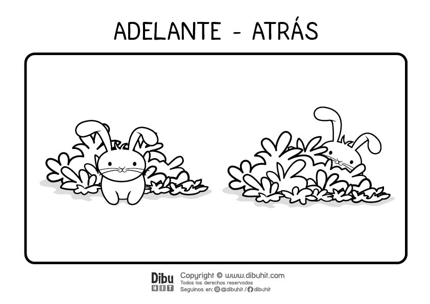 Dibujo de opuestos para colorear adelante atras con conejitos