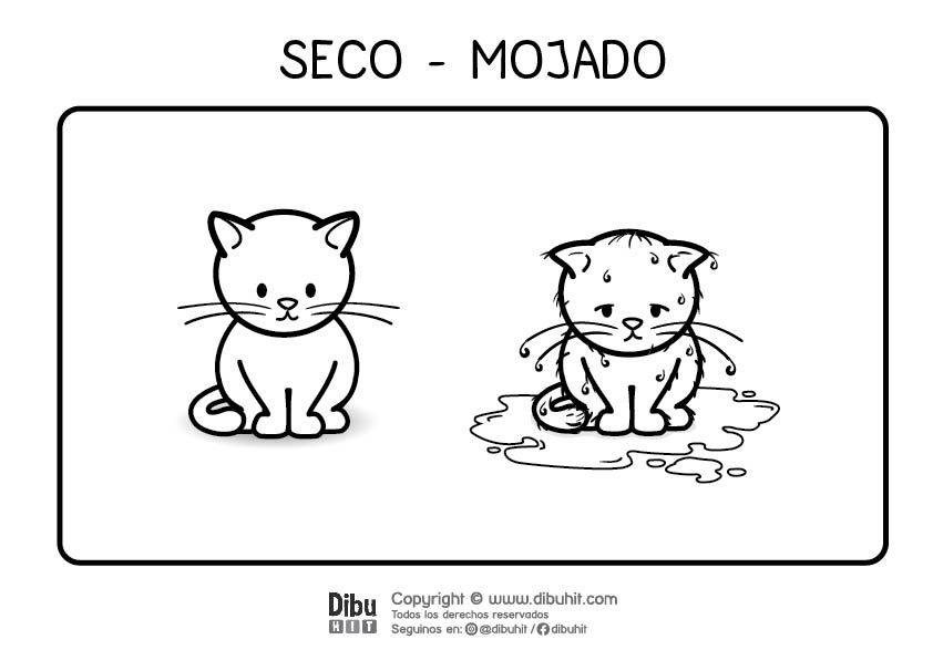 Dibujo de opuestos para colorear seco mojado con gatitos