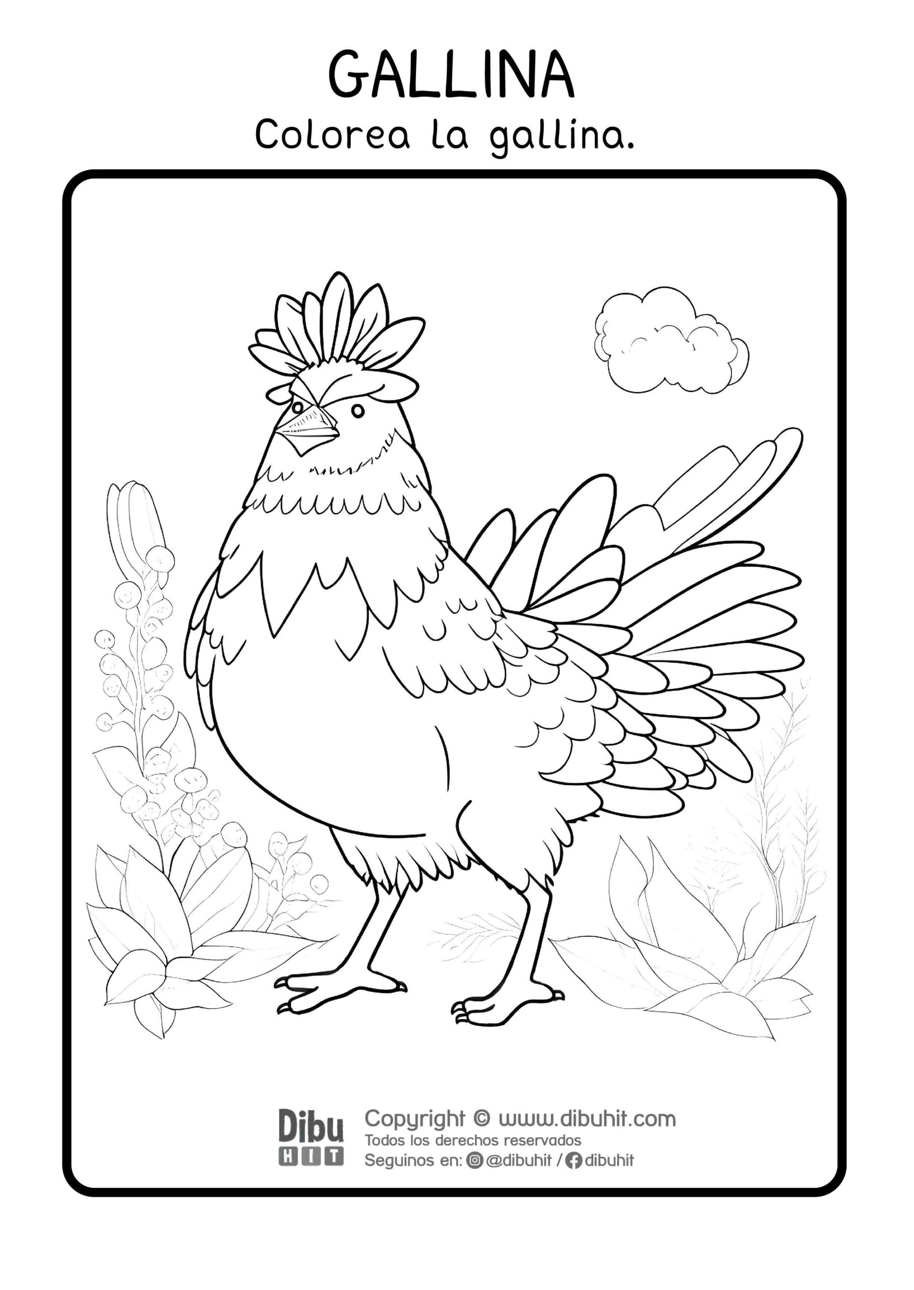 Dibujo de gallina para colorear