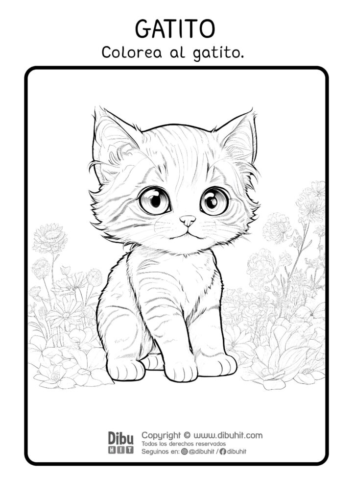 Dibujo de gatito para colorear