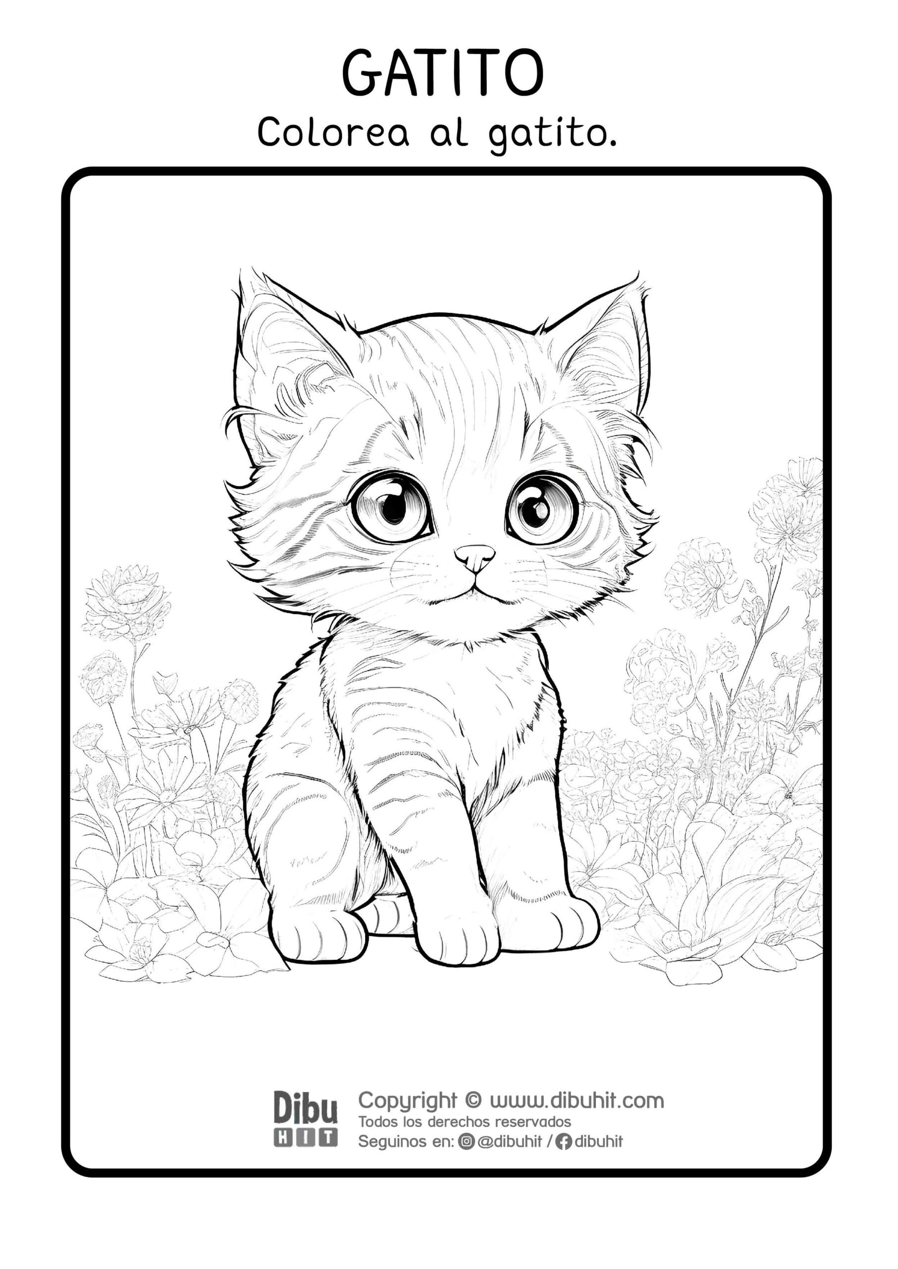 Dibujo de gatito para colorear