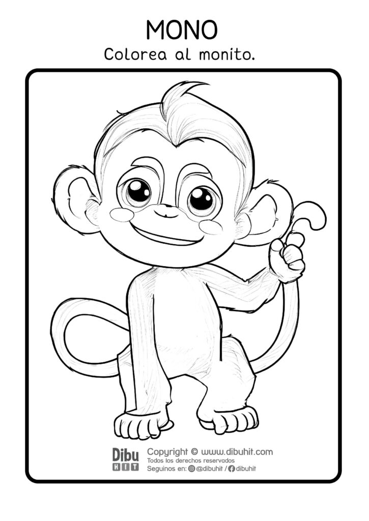 Dibujo de un monito para colorear