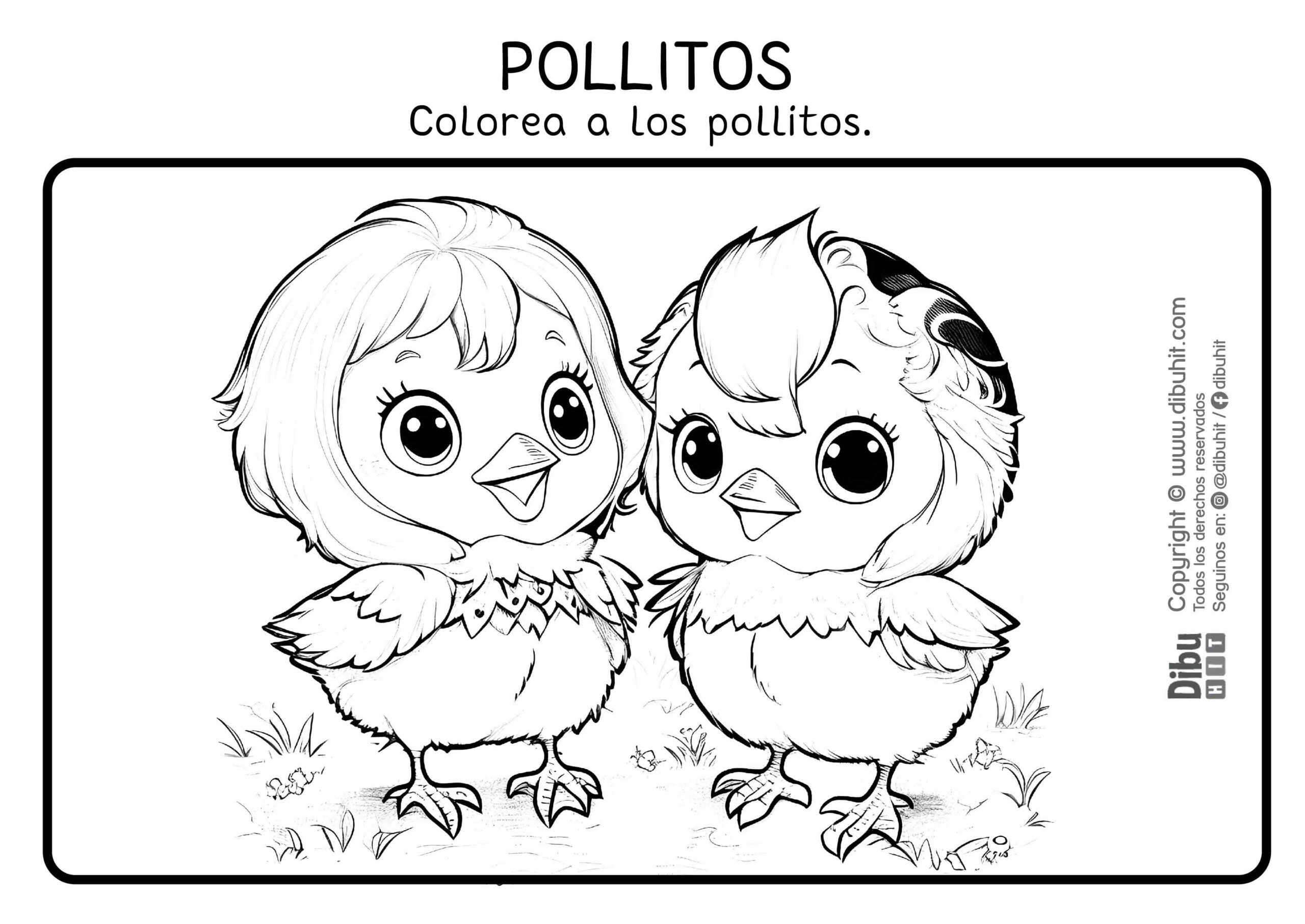 Dibujo de pollitos para colorear