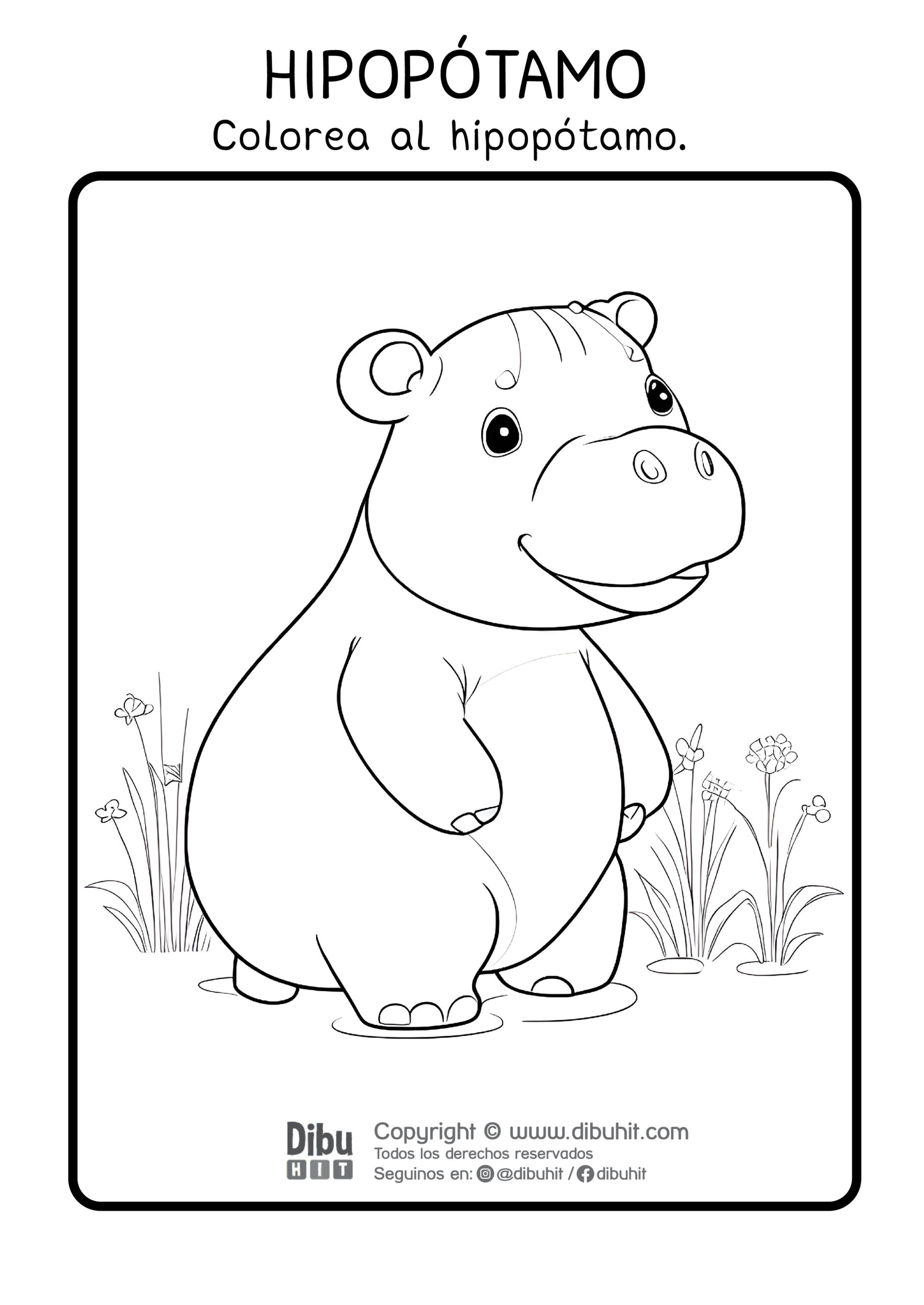 Dibujo de hipopotamo para colorear