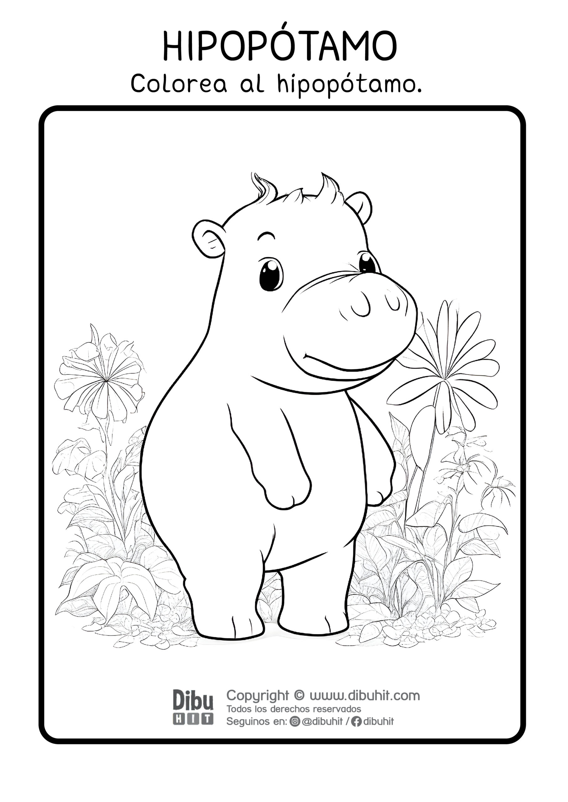 Dibujo de hipopotamo para colorear