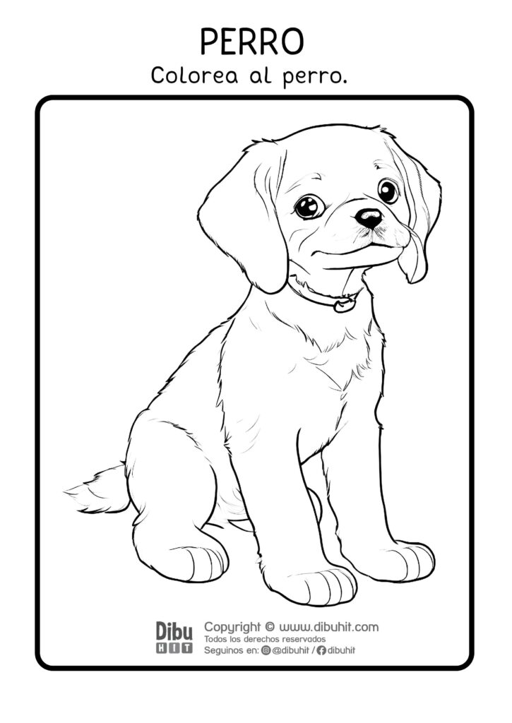 Dibujo de un perro para colorear