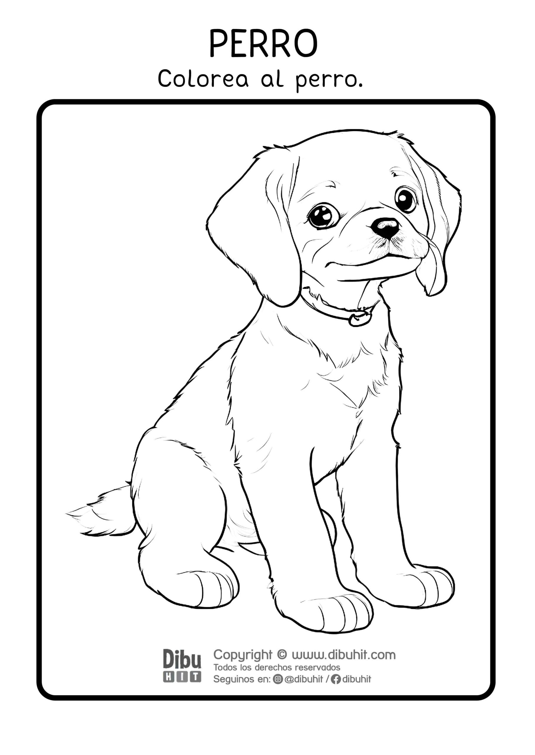 Dibujo de un perro para colorear