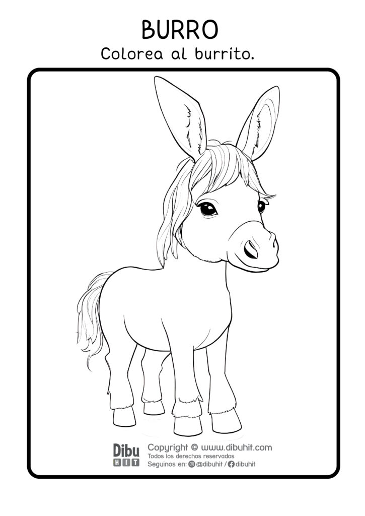 Dibujo para colorear un burro