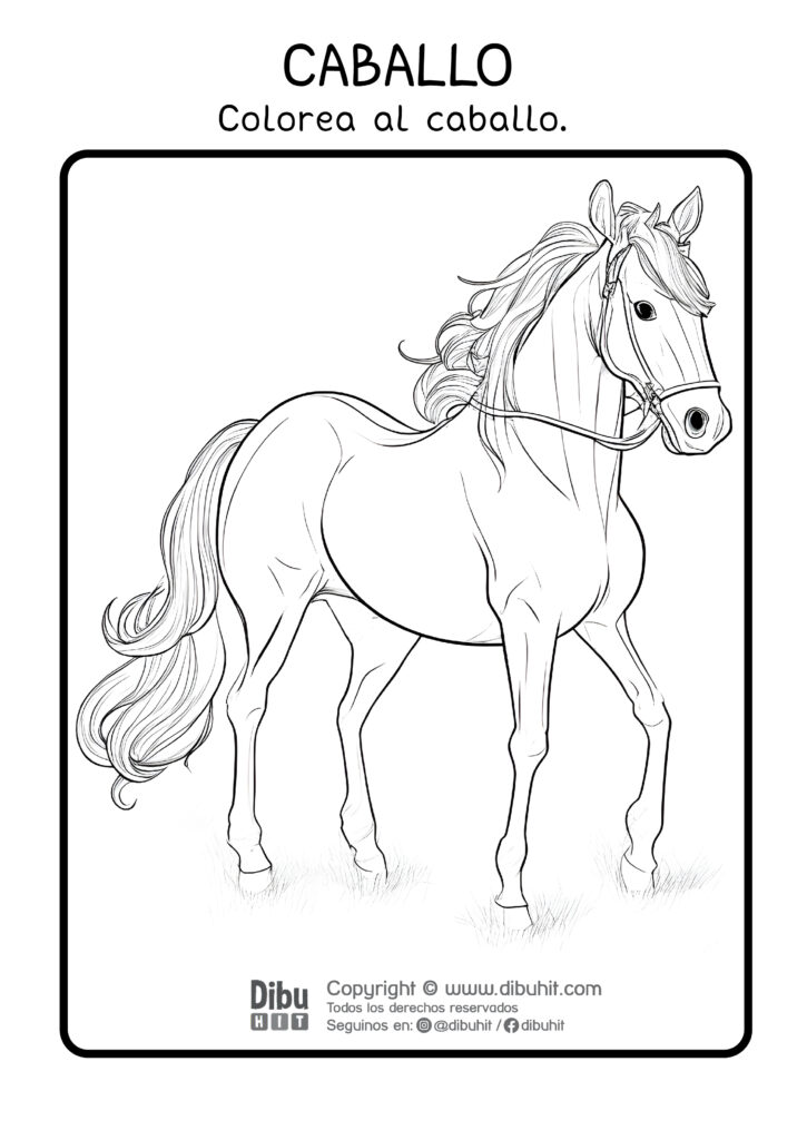 Dibujo para colorear de un caballo