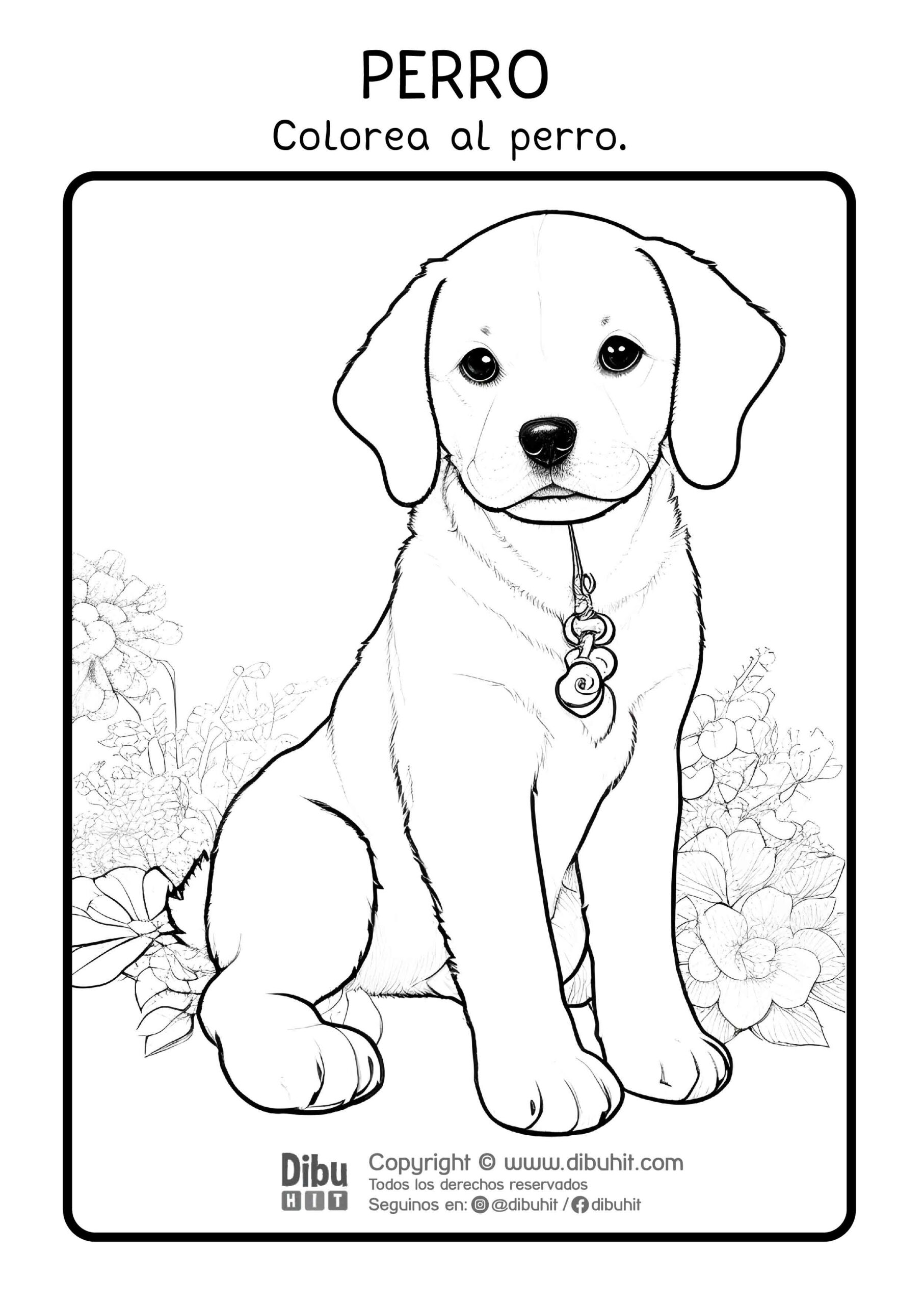 Dibujo de un perrito para colorear