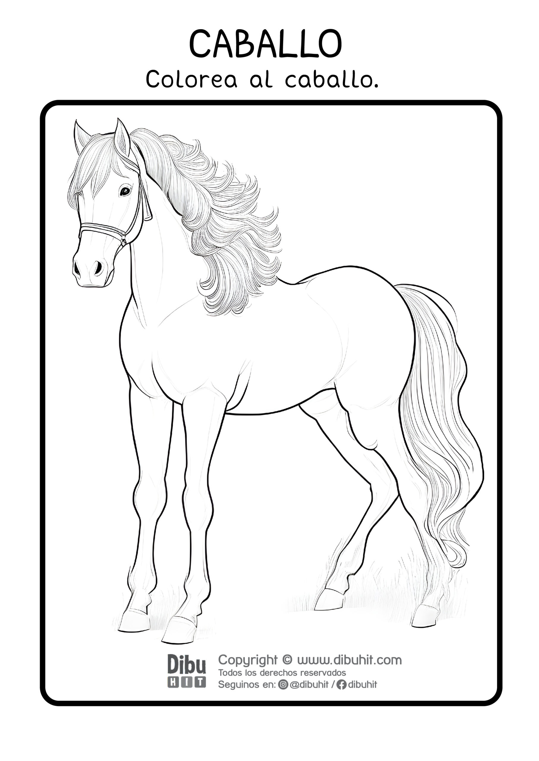 Dibujo de caballo para colorear