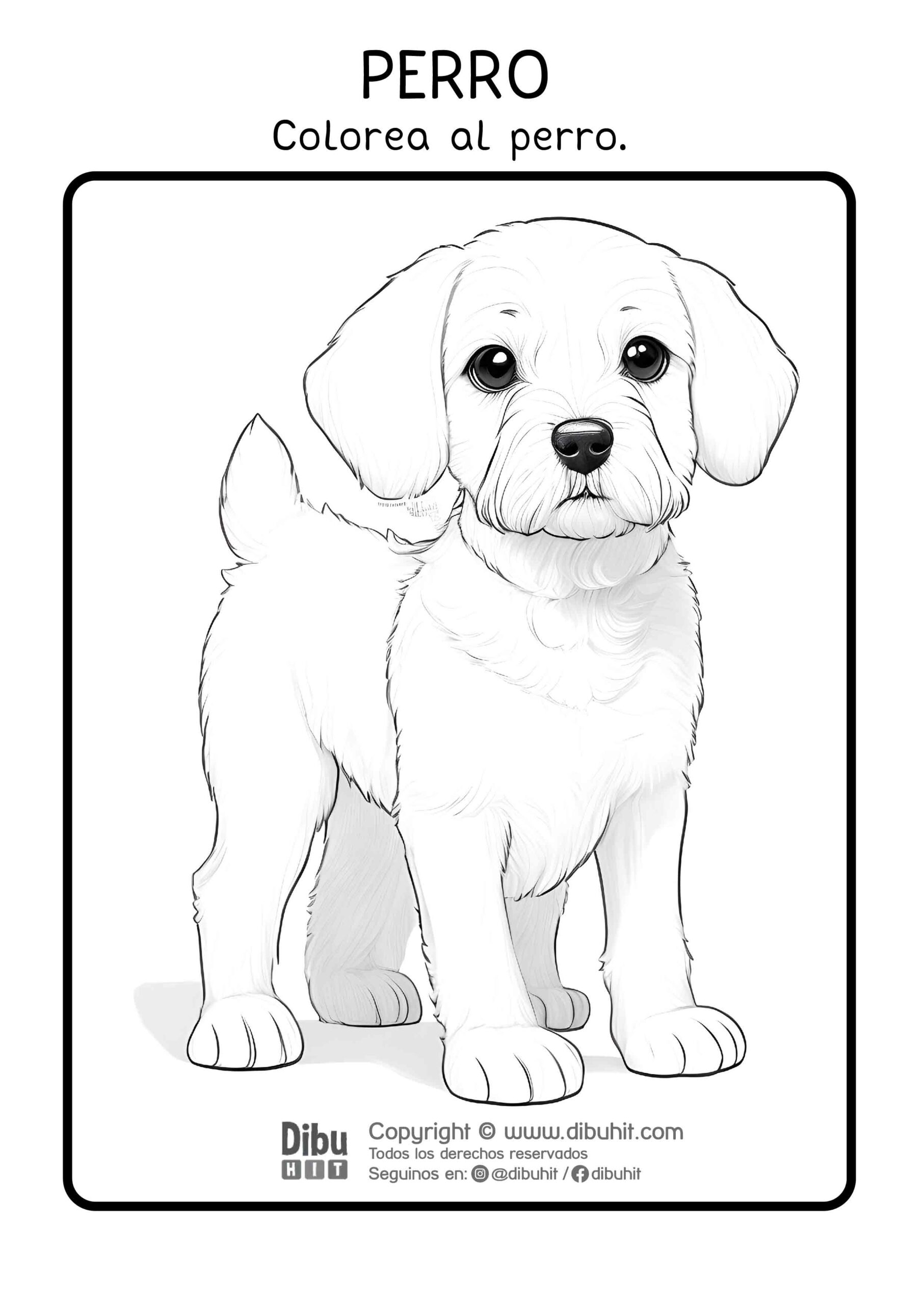 Dibujo de un perro para colorear