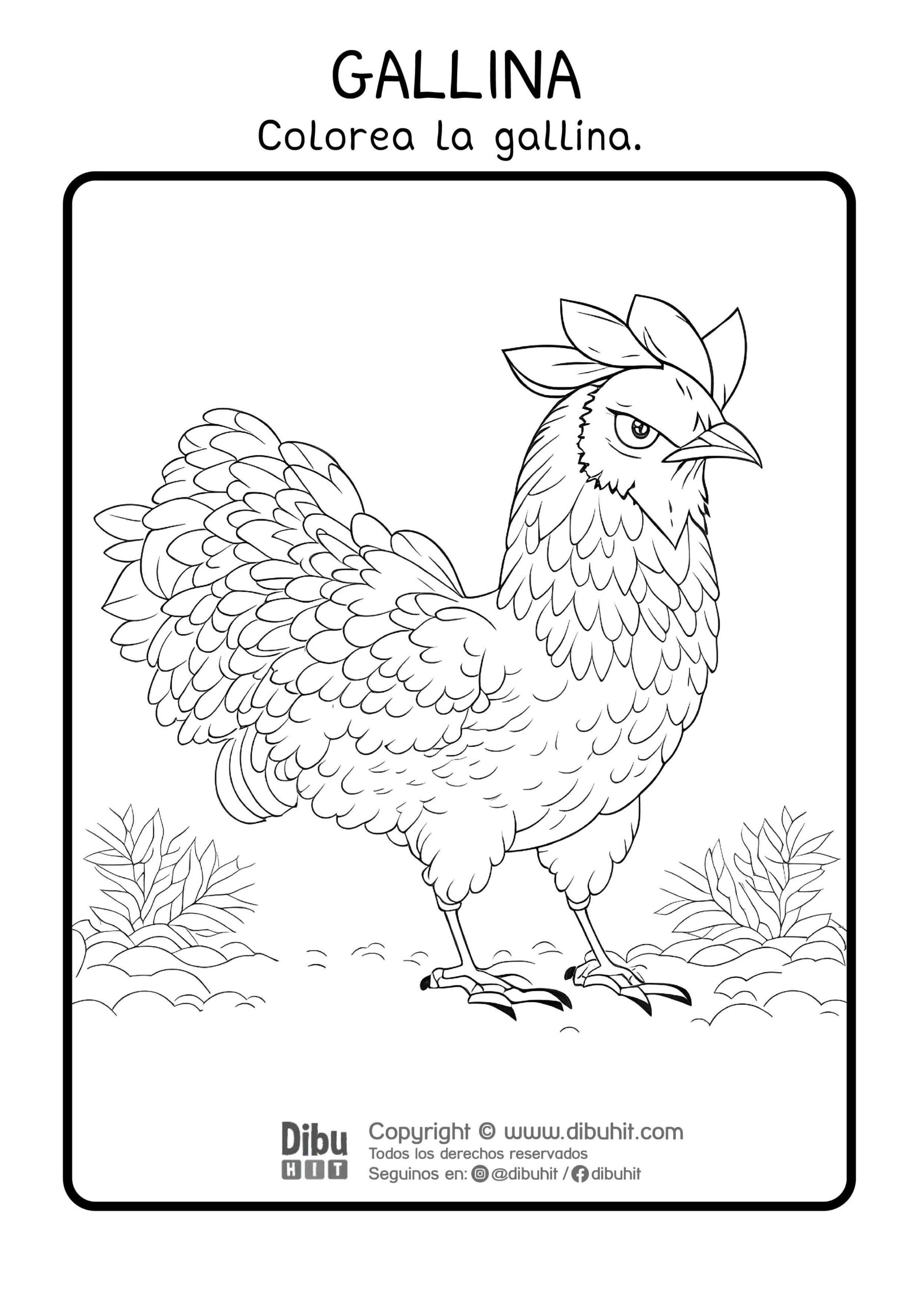 Dibujo de gallina para colorear