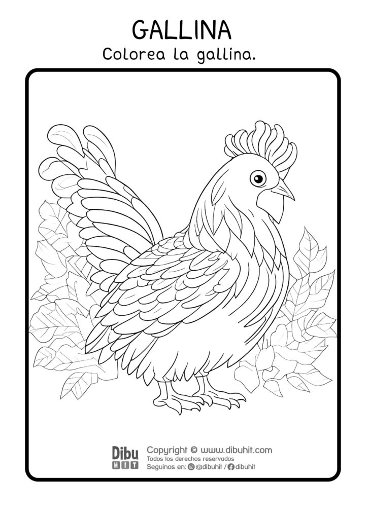 Dibujo de gallina para colorear