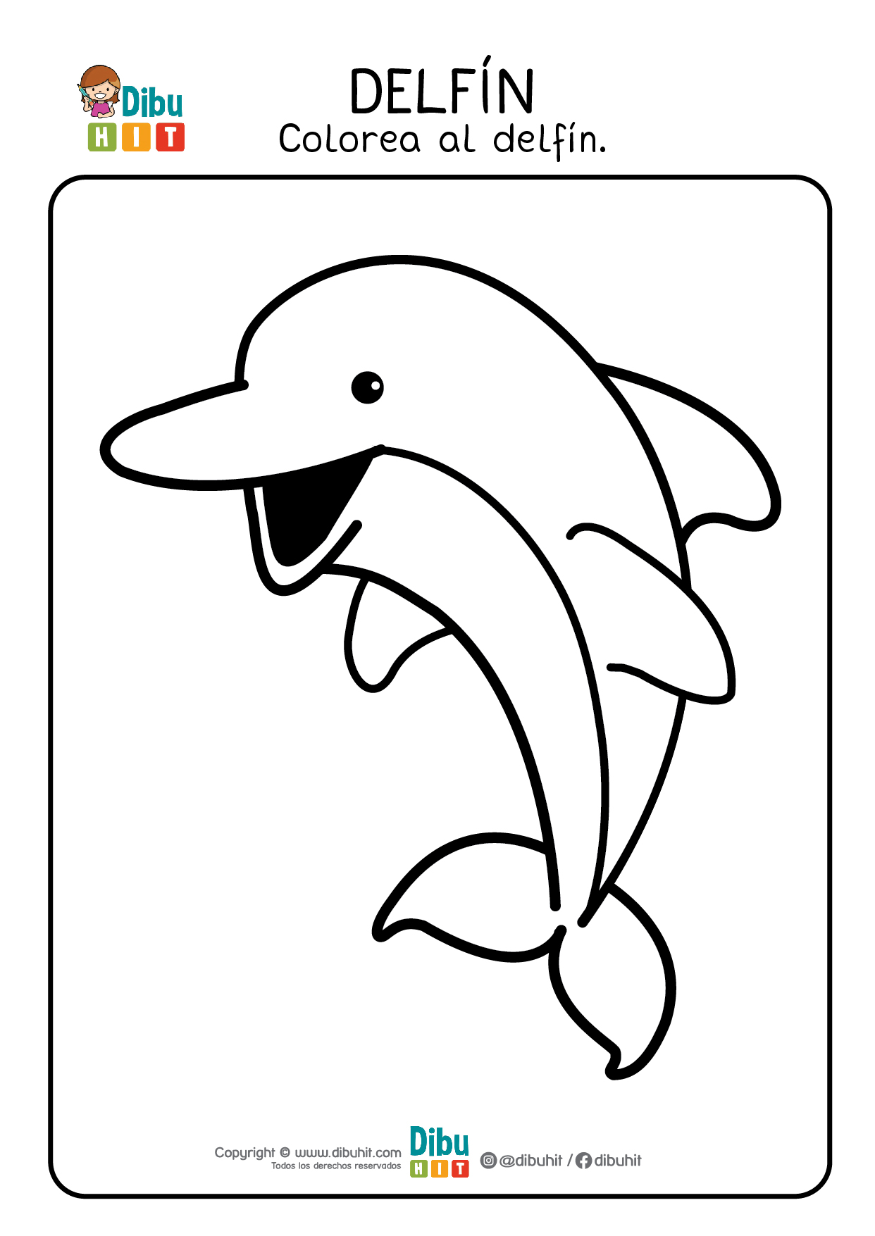 Dibujo de delfin para colorear coloring dolphin draw