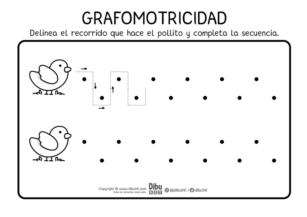 Actividad de grafomotricidad sigue el recorrido del pollito