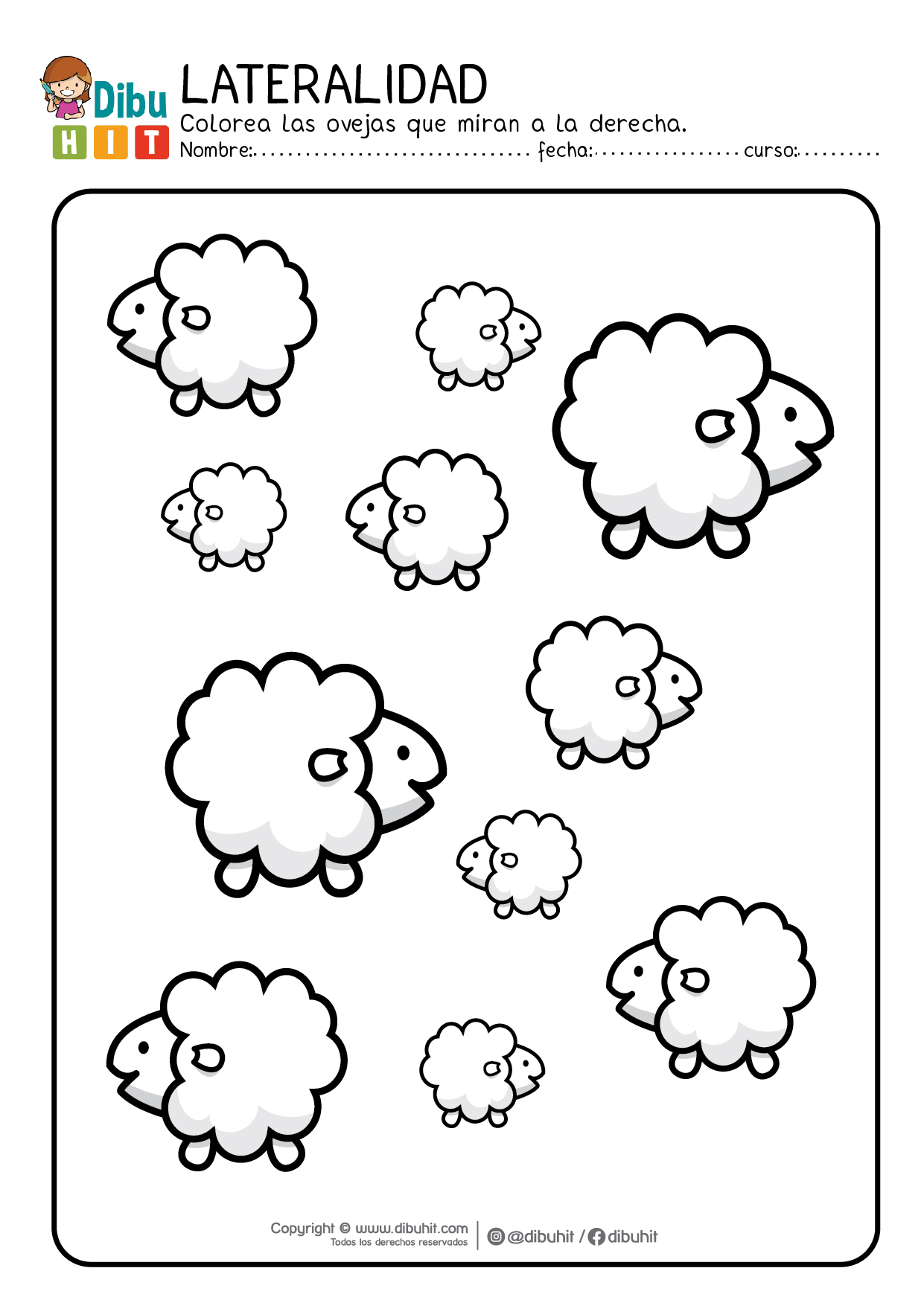 Lateralidad actividad ficha ovejas grandes y pequeñas