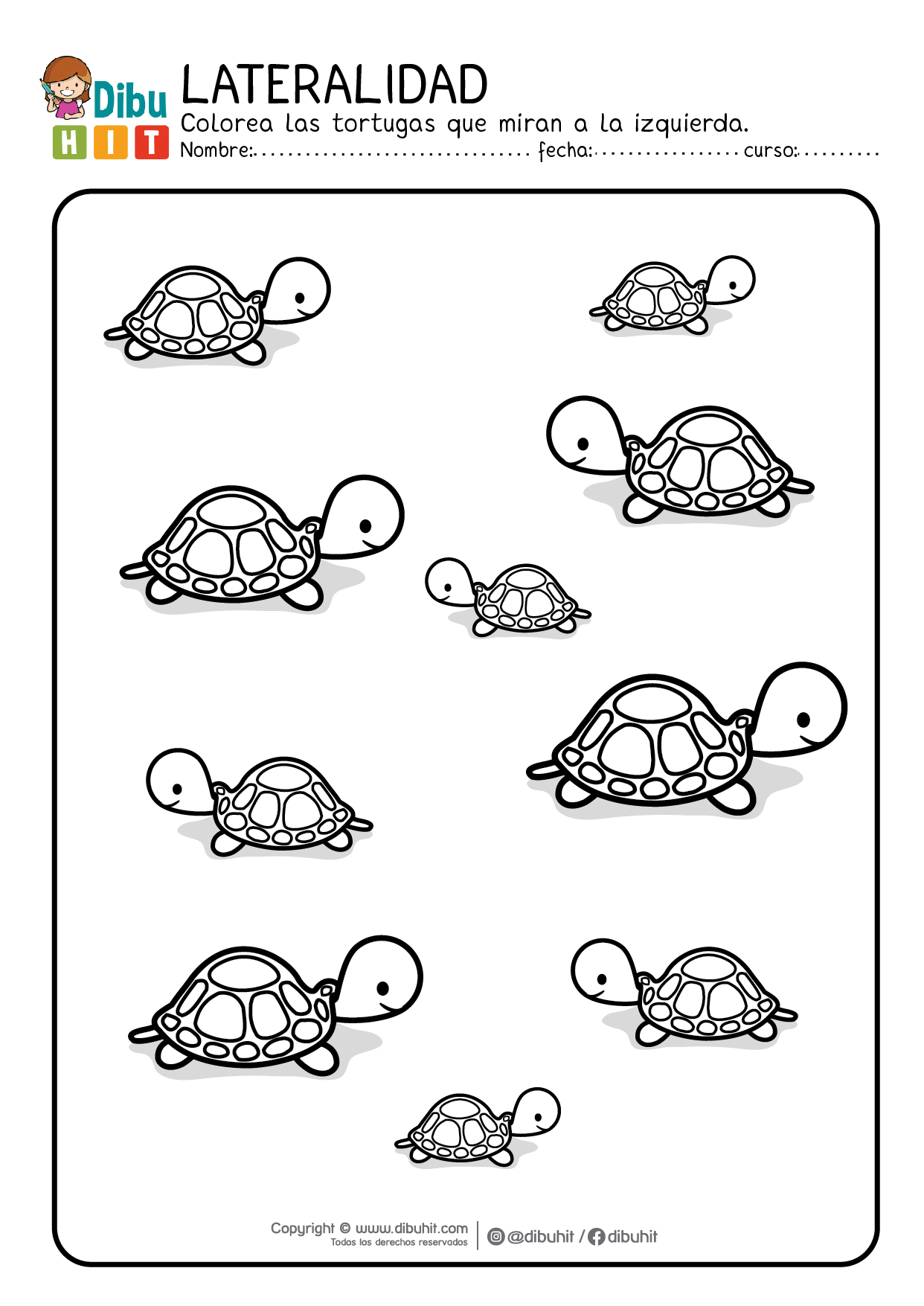 Lateralidad actividad ficha tortugas tartarugas