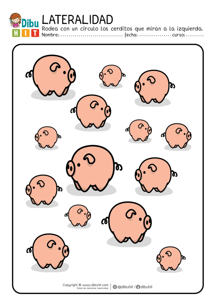 Lateralidad actividad cerditos rosados